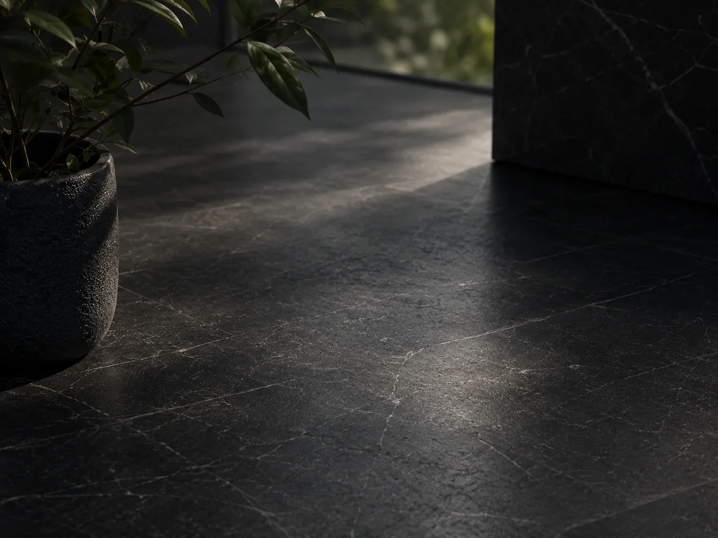Sunlight and a plant beside a dark stone surface